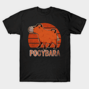Pocybara